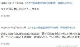 娱乐圈爆料群qq号多少,QQ号背后的秘密与风云