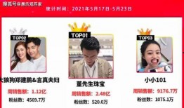 网红二胎爆料视频在线观看,揭秘家庭生活幕后真相